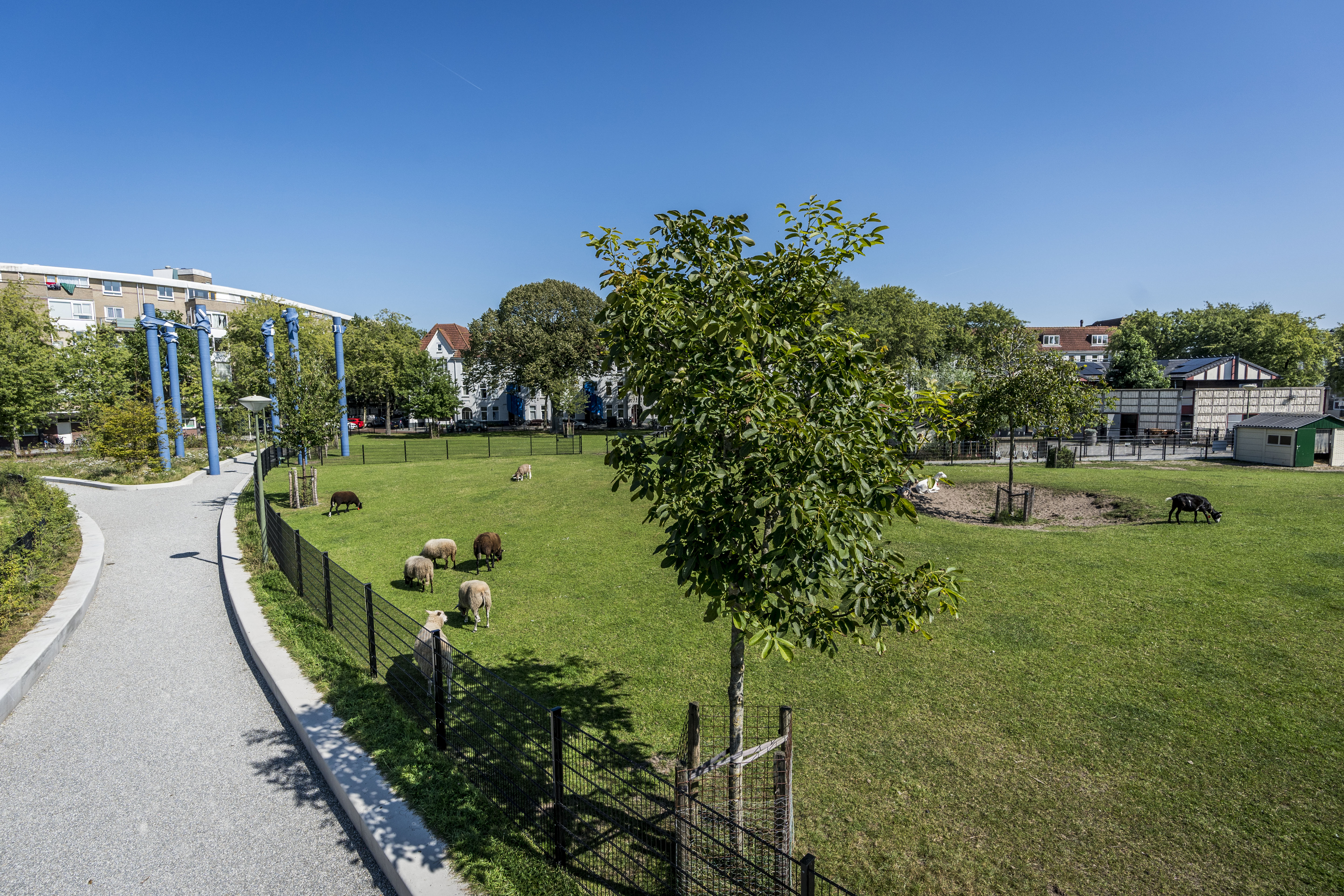 Official opening of the Cromvlietpark and Urban Waterbuffer
