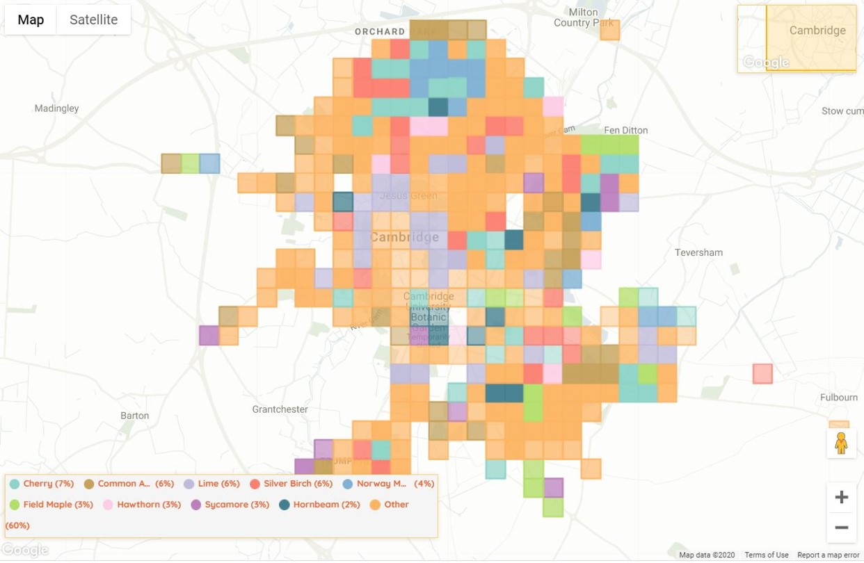 Cambridge City Council launch citizen science tree mapping scheme 