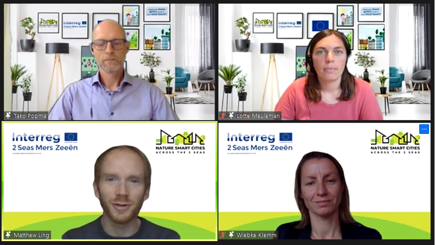 Rewatch the webinar: Using a New Business Model to Value Future Green Infrastructure Projects